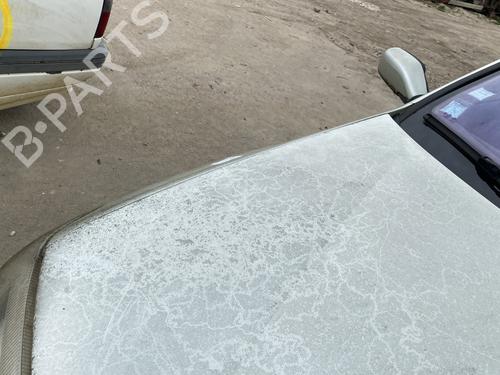 Hood RENAULT LAGUNA II Grandtour (KG0/1_) 1.9 dCi (KG0G) | BP25333141C1 