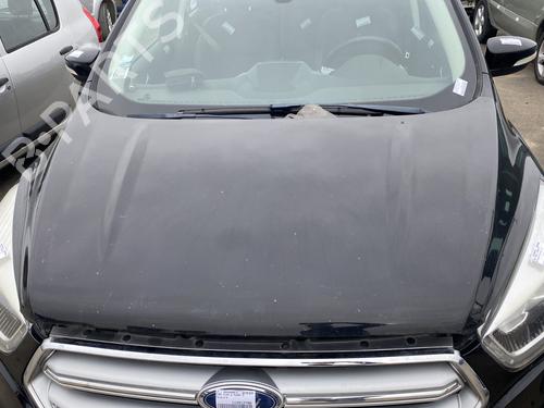 Used Hood FORD KUGA II (DM2) 2.0 TDCi (150 hp) 29341341