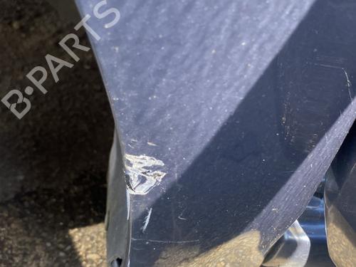 Used Left front fenders RENAULT SCÉNIC II (JM0/1_) 2.0 dCi (JM1K) (150 hp) 29012964