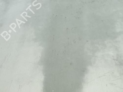 Hood RENAULT LAGUNA I (B56_, 556_) 1.8 16V (B563, B564) | BP21093047C1