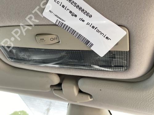 Interior roof light RENAULT LAGUNA II Grandtour (KG0/1_) 1.9 dCi (KG0G) | BP25333163I8 