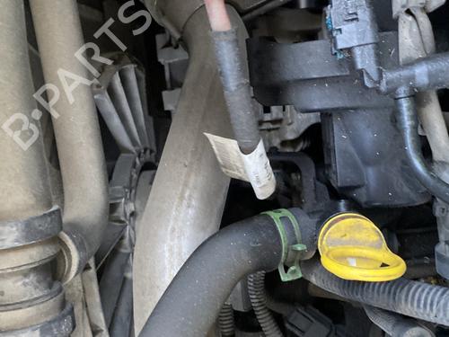 Used Water radiator RENAULT MASTER III Van (FV) 2.3 dCi 145 FWD (FV0E, FV0F, FV0H, FV02, FV0M, FV0S,... (146 hp) 32493910