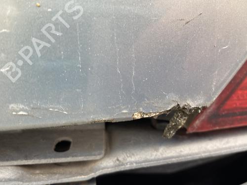 Tailgate RENAULT AVANTIME (DE0_) 2.2 dCi (DE01) | BP29748595C6