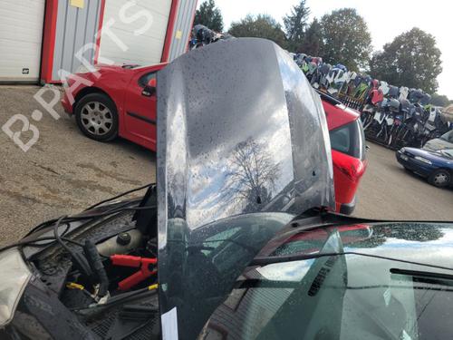 Hood RENAULT CLIO III (BR0/1, CR0/1) 1.2 16V (BR02, BR0J, BR11, CR02, CR0J, CR11) | BP20174273C1 
