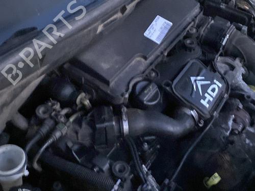 Used Injector Injector PEUGEOT 1007 (KM_) 1.4 HDi (68 hp) 31815668 31815668