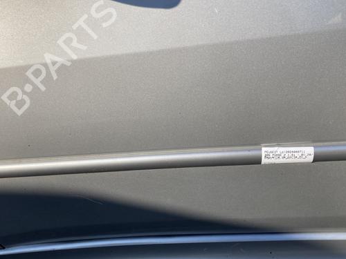 Left front door PEUGEOT 306 Hatchback (7A, 7C, N3, N5) 1.6 | BP22787799C2 