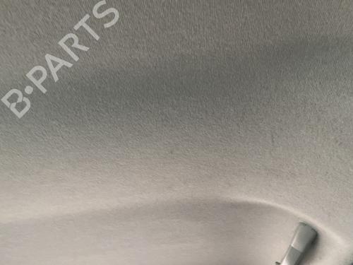 Used Interior roof Interior roof PEUGEOT 207 (WA_, WC_) 1.6 HDi (92 hp) 32370164 32370164