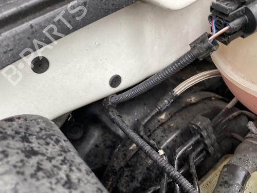 Servo brake VW POLO (6N2) 1.4 | BP33013676M42 - Image 2