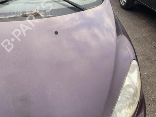 Used Hood PEUGEOT 307 CC (3B) 2.0 16V (140 hp) 22117129