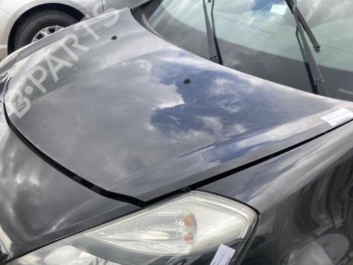 Hood RENAULT CLIO III (BR0/1, CR0/1)  | BP21808713C1 