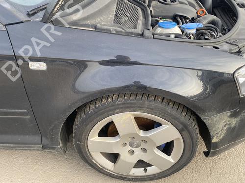 Used Right front fenders Right front fenders AUDI A3 (8P1) [2003-2013] 33554209 33554209