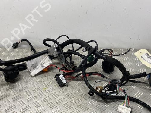 Kabelboom RENAULT ZOE (BFM_) ZOE (92 hp) 29829281