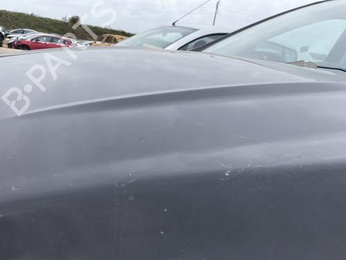 Hood FORD KUGA II (DM2) 2.0 TDCi | BP29341341C1 