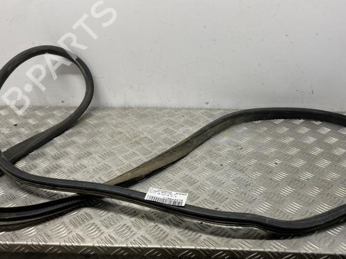 Gummiliste CITROËN BERLINGO Box Body/MPV (B9) 1.6 HDi 90 16V (90 hp) 31299604