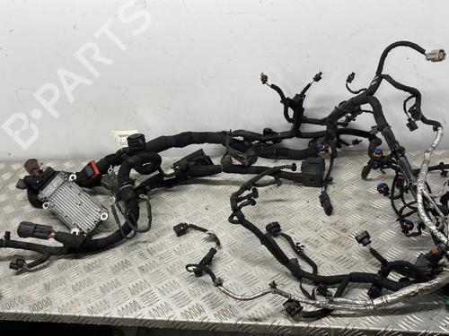 Used Wiring harness LAND ROVER RANGE ROVER EVOQUE (L538) [2011-2019]  29611621