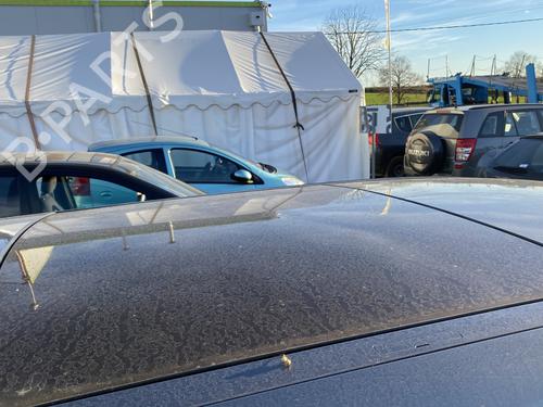 Used Sunroof RENAULT GRAND SCÉNIC II (JM0/1_) 2.0 dCi (JM1K) (150 hp) 30183677