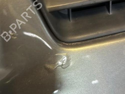 Foran støtfanger RENAULT MEGANE II (BM0/1_, CM0/1_) [2001-2012]  22118088