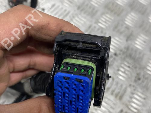 Wiring harness PEUGEOT 1007 (KM_) 1.6 16V | BP29893556E16