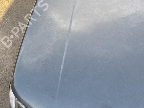 Hood RENAULT CLIO I (B/C57_, 5/357_) 1.9 D (B/C/S576, B/C/S57L) | BP30172200C1 