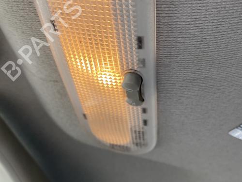 Interior roof light RENAULT CLIO III (BR0/1, CR0/1) 1.5 dCi (C/BR0G, C/BR1G) | BP29422483I8 
