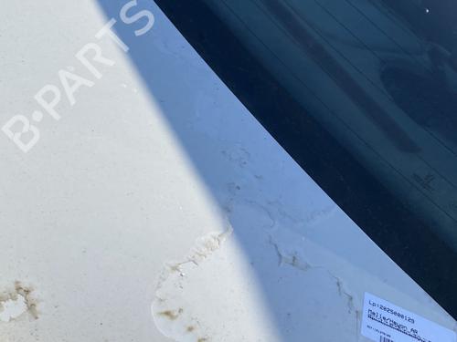 Tailgate PEUGEOT 406 (8B) 2.0 HDI 110 | BP25270589C6 