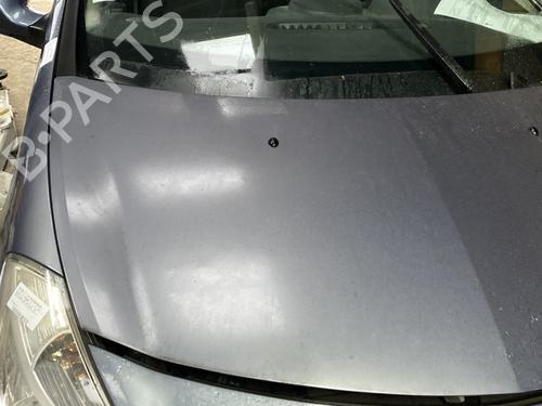 Hood RENAULT CLIO III (BR0/1, CR0/1) 1.5 dCi (BR17, CR17) | BP23845683C1 