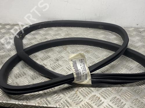 Gummiliste RENAULT MEGANE IV Hatchback (B9A/M/N_) 1.2 TCe 130 (B9MR) (130 hp) 31580777