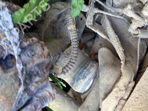Used Rear differential Rear differential LAND ROVER DISCOVERY II (L318) 2.5 Td5 4x4 (139 hp) 33554099 33554099