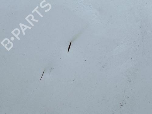 Hood CITROËN C3 II (SC_) 1.4 HDi 70 (SC8HZC, SC8HR0, SC8HP4) | BP22114774C1 