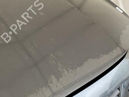 Panser RENAULT MEGANE II (BM0/1_, CM0/1_) 1.6 16V (BM0C, CM0C) | BP29115550C1