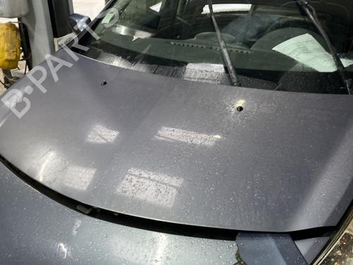 Used Hood RENAULT CLIO III (BR0/1, CR0/1) 1.5 dCi (BR17, CR17) (86 hp) 23845683