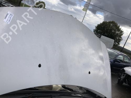 Hood RENAULT CLIO III (BR0/1, CR0/1) 1.4 16V | BP20174297C1 