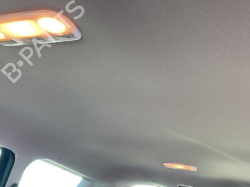 Tecto interior RENAULT GRAND SCÉNIC III (JZ0/1_) 1.5 dCi (JZ09, JZ0D, JZ10, JZ14, JZ1G, JZ29, JZ2C) | BP30640668I12 
