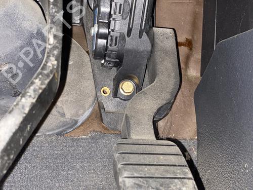Pedal RENAULT LAGUNA II (BG0/1_) 2.0 16V (BG00, BG0K, BG0P, BG0W) | BP30150056I4