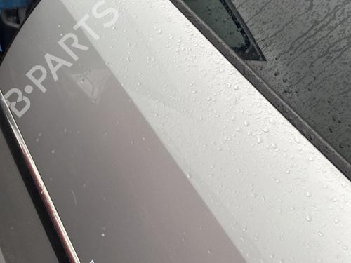 Left rear door PEUGEOT 407 (6D_) 2.0 HDi 135 (6DRHRH, 6DRHRE, 6DRHRG, 6DRHRJ) | BP29188645C4 