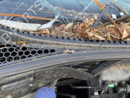 Used Scuttle panel Scuttle panel CITROËN C3 II (SC_) 1.4 (73 hp) 32167742 32167742