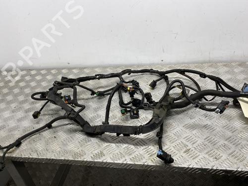 Wiring harness PEUGEOT 508 I (8D_) 2.0 HDi | BP30480870E16