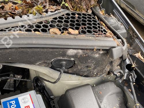 BP32174055E1 main image