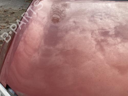 Hood RENAULT MEGANE II (BM0/1_, CM0/1_) 1.6 16V (BM0C, CM0C) | BP22127215C1 