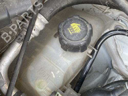 expansion-tank-renault-grand-scenic-iii-jz01_-2009-2010-2011-2012-2013-2014-2015-2016-26564524 main image