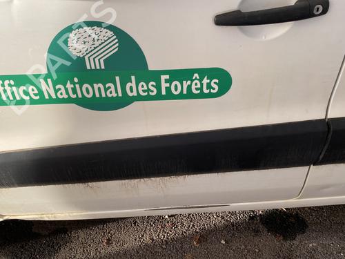 Dør venstre fortil CITROËN BERLINGO MULTISPACE (B9) 1.6 HDi 110 | BP31041475C2