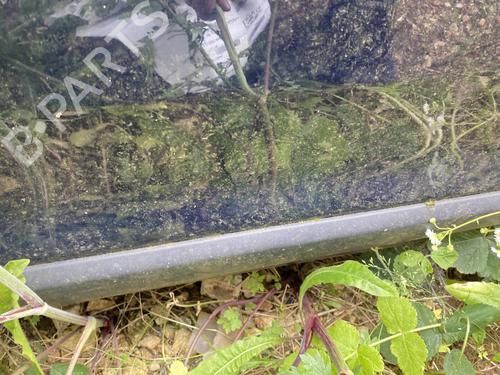 door-moulding-trim-dacia-logan-ii-2012-26940012 main image