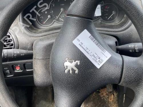 Rat PEUGEOT 206 Hatchback (2A/C)  | BP22121403C49 