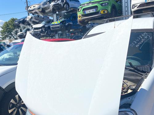 hood-renault-kangoo-express-fc01_-1997-36966360 main image