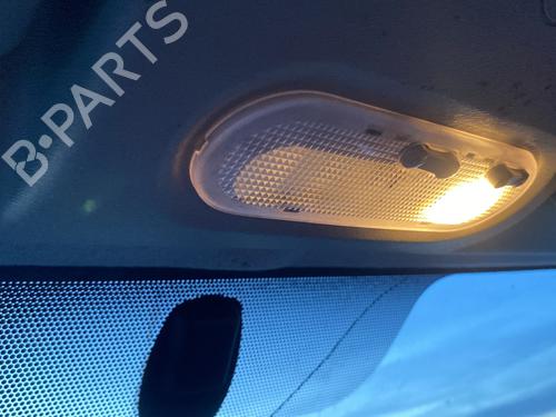 Interior roof light RENAULT KANGOO Express (FW0/1_) 1.5 dCi 95 (FW16) | BP29959023I8