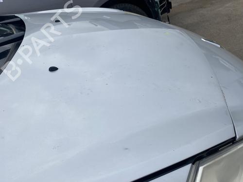 Hood RENAULT CLIO III (BR0/1, CR0/1) 1.5 dCi (C/BR0G, C/BR1G) | BP27304359C1 
