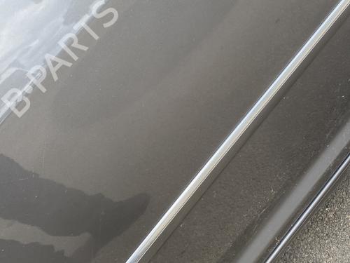 Door moulding trim VW TOURAN (1T1, 1T2) 2.0 TDI | BP28601754C150