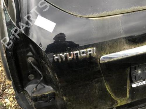 Used Tailgate HYUNDAI TUCSON (JM) 2.0 (141 hp) 22118404