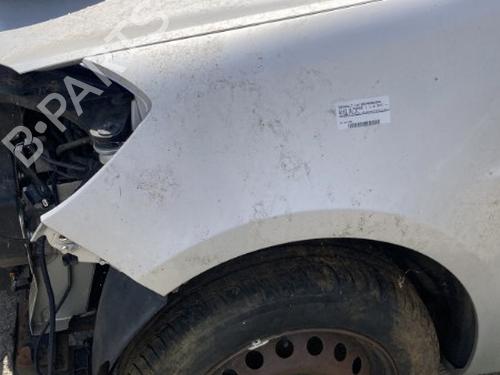 Left front fenders RENAULT CLIO III (BR0/1, CR0/1) 1.5 dCi (C/BR0G, C/BR1G) | BP19906711C41