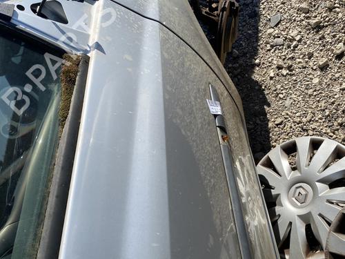 Right front door RENAULT CLIO III (BR0/1, CR0/1)  | BP27981934C3 